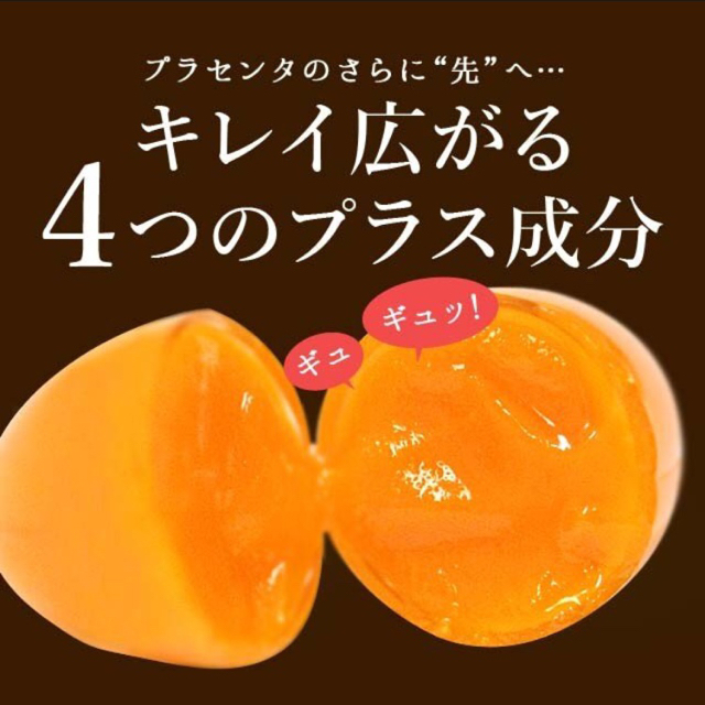 プラセンタ サプリメント サプリ アルガンオイル エイジングケア 約3ヶ月分 食品/飲料/酒の健康食品(その他)の商品写真