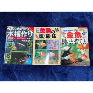 金魚飼育の本 3冊セット(住まい/暮らし/子育て)