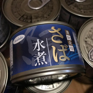 送料込み　サバ缶　24缶(缶詰/瓶詰)