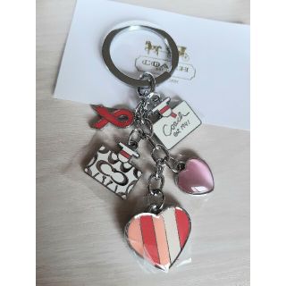 Coach 新品未使用 コーチ スヌーピー キーリング スケートの通販 By コーチならラクマ Coach 新品未使用 コーチ スヌーピー キーリング スケートの通販 By コーチならラクマ