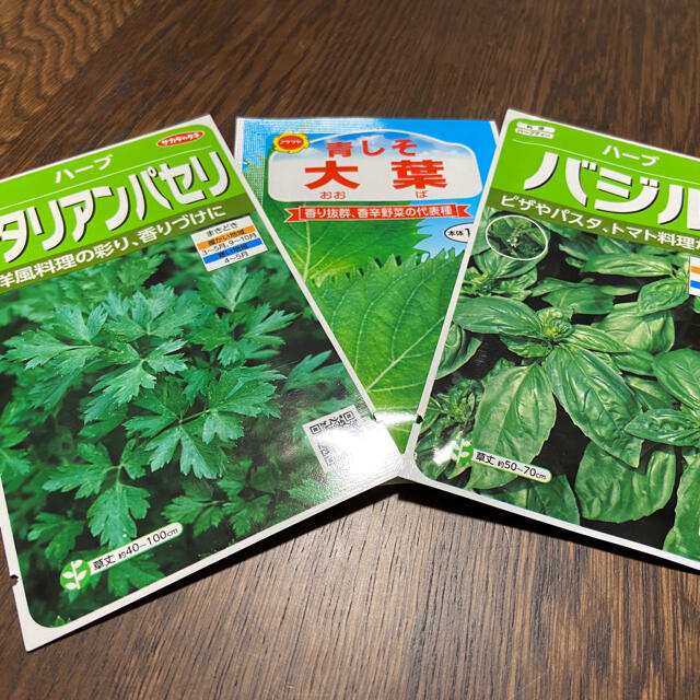 【プランター栽培】大葉100粒、バジル30粒、イタリアンパセリ30粒。お得！！ 食品/飲料/酒の食品(野菜)の商品写真