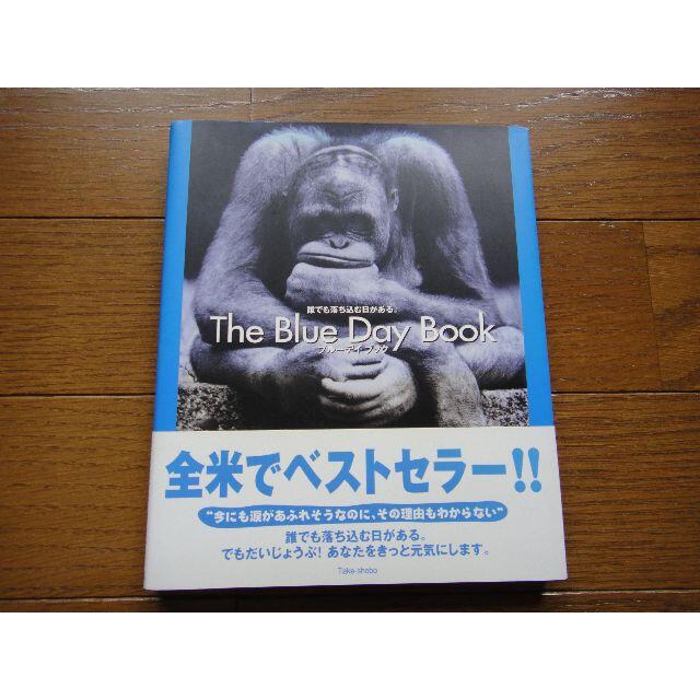 ブルーデイブック 誰でも落ち込む日がある。 エンタメ/ホビーの本(アート/エンタメ)の商品写真