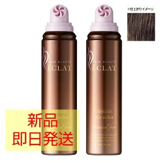 ヘアボーテ エクラ ボタニカル エアカラーフォーム ダークブラウン150g×2本(カラーリング剤)