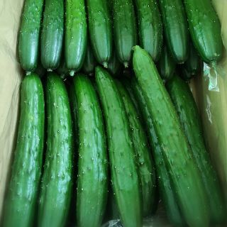 ありんこ様専用(野菜)