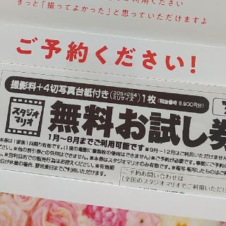 キタムラ(Kitamura)のスタジオマリオ　無料お試し券(その他)