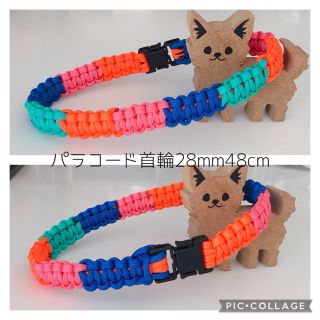 パラコード550首輪レインボー🌈カラフル🌼おしゃれ首輪🐶大型犬(リード/首輪)