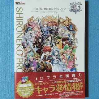 アスキーメディアワークス(アスキー・メディアワークス)の【てんふぃ様専用】白猫プロジェクト公式設定資料集＆ファンブック(アート/エンタメ)