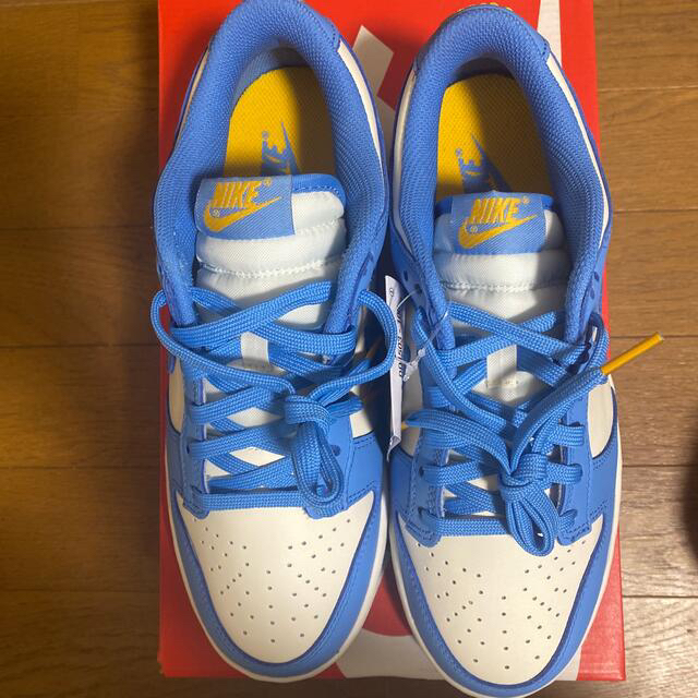 NIKE(ナイキ)のW NIKE DUNK LOW COAST メンズの靴/シューズ(スニーカー)の商品写真