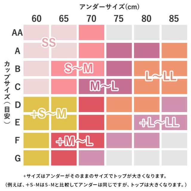 【ぞうりむしむし　様　専用】Angellir ふんわりルームブラ レディースの下着/アンダーウェア(ブラ)の商品写真