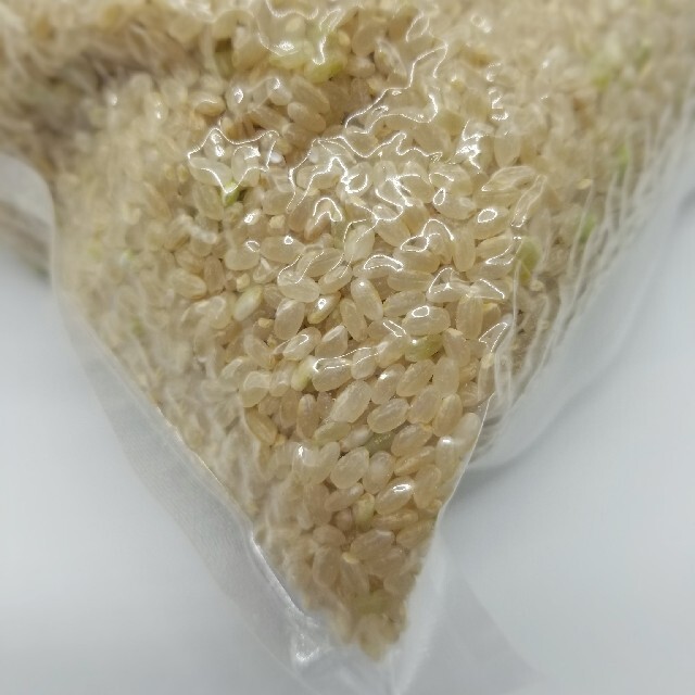 熊本県産　新米100%　発芽玄米　900g ヒノヒカリ　れんげ米 食品/飲料/酒の食品(米/穀物)の商品写真