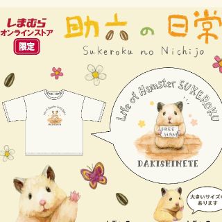 シマムラ(しまむら)の助六の日常 Tシャツ Lサイズ(Tシャツ(半袖/袖なし))