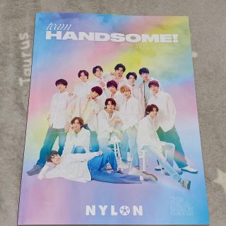 team handsome nylon (ナイロン　チームハンサム)(アート/エンタメ/ホビー)