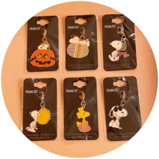スヌーピー アクセサリーの通販 0点以上 Snoopyのレディースを買うならラクマ スヌーピー アクセサリーの通販 0点以上 Snoopyのレディースを買うならラクマ