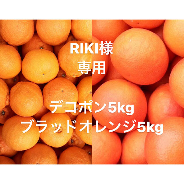 RIKI様　専用　ブラッドオレンジ中玉前後5kg デコポン大中5kg 食品/飲料/酒の食品(フルーツ)の商品写真