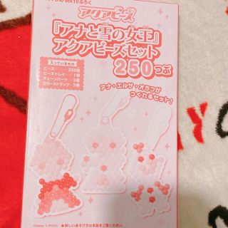 アナトユキノジョオウ(アナと雪の女王)のAneひめ　vol.10 アナ雪　アクアビーズセット　すみっコぐらし(キャラクターグッズ)