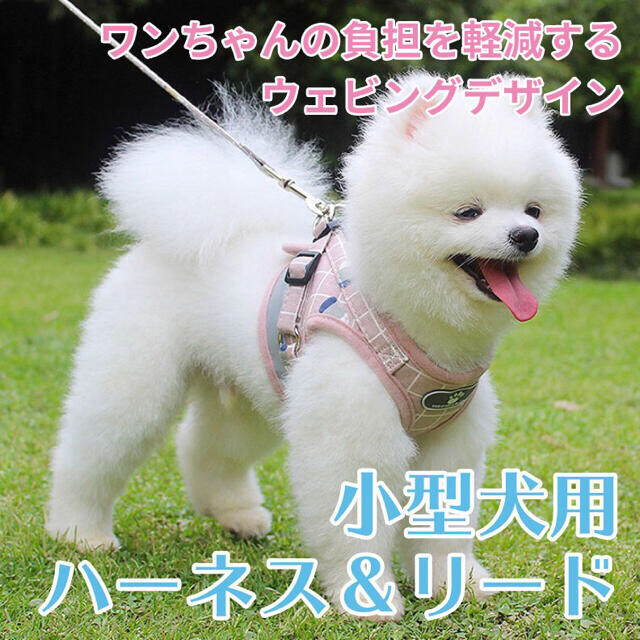 小型犬用 ハーネス リード メッシュ チェック 中型犬 犬 猫 かわいいの通販 By Rainbow S Shop ラクマ 小型犬用 ハーネス リード メッシュ チェック 中型犬 犬 猫 かわいいの通販 By Rainbow S Shop ラクマ