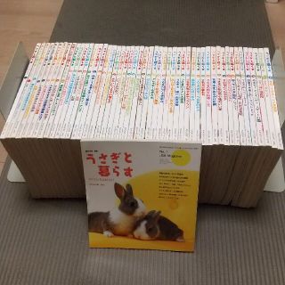 「うさぎと暮らす」創刊号～52号(専門誌)