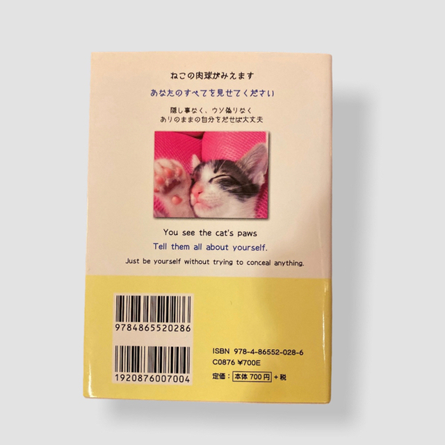 猫の占い　今日の幸せを引き寄せる本 エンタメ/ホビーの本(ノンフィクション/教養)の商品写真