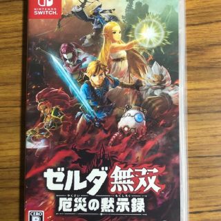 ニンテンドースイッチ(Nintendo Switch)の【Switch】 ゼルダ無双 厄災の黙示録 [通常版](家庭用ゲームソフト)