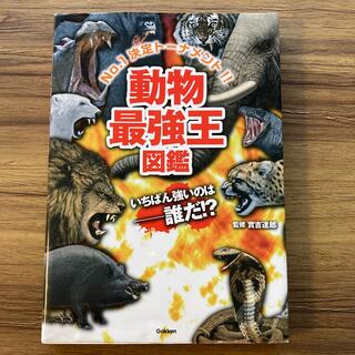 動物最強王図鑑 Ｎｏ．１決定ト－ナメント！！(絵本/児童書)