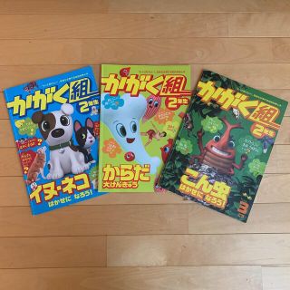 かがく組 2年生　３冊セット　進研ゼミ　小学講座(絵本/児童書)