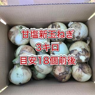 【鹿児島産】甘塩新玉ねぎ箱込み3キロ^_^(野菜)