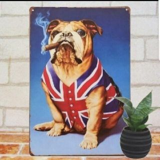 デザイン看板】ブルドッグ イギリス国境★1000種類★れんと★葉巻 犬 タバコ(その他)