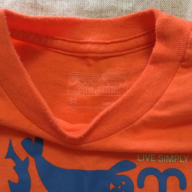 patagonia(パタゴニア)のパタゴニア Tシャツ 3T キッズ/ベビー/マタニティのキッズ服男の子用(90cm~)(Tシャツ/カットソー)の商品写真