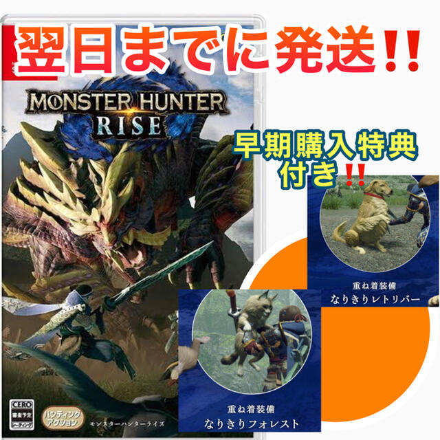 新品✨モンスターハンターライズ Switch