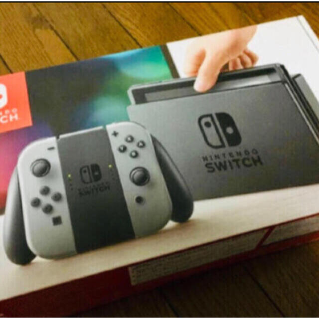 Nintendo Switch JOY-CON グレー 本体  どうぶつの森