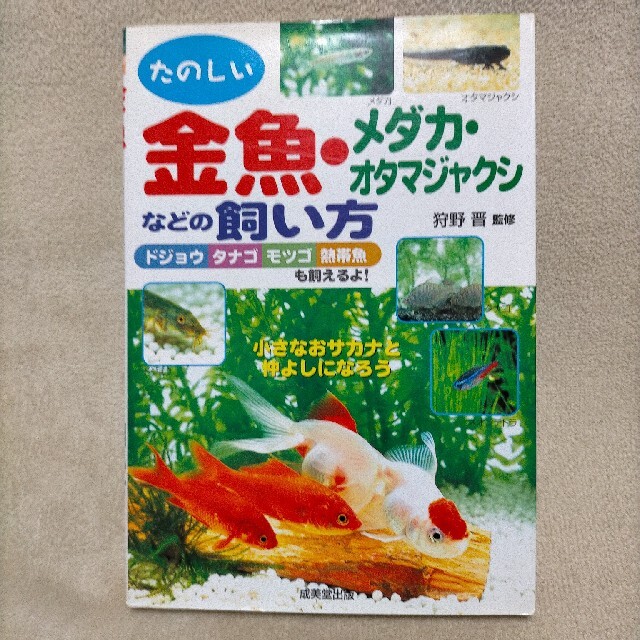 金魚 メダカ オタマジャクシなどの飼い方 たのしいの通販 By すたんぷ S Shop ラクマ