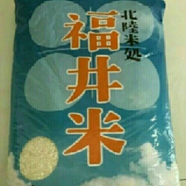 マギ 初期設定資料集 201枚