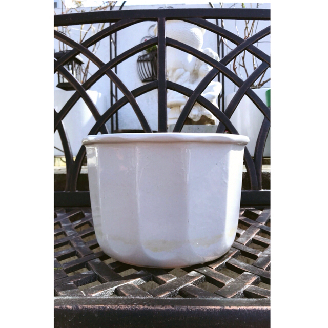 伊)テラコッタフリル鉢(LLsize)  他 ハンドメイドのフラワー/ガーデン(プランター)の商品写真