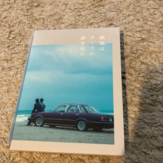 窮鼠はチーズの夢を見る　DVD　豪華版 DVD(日本映画)