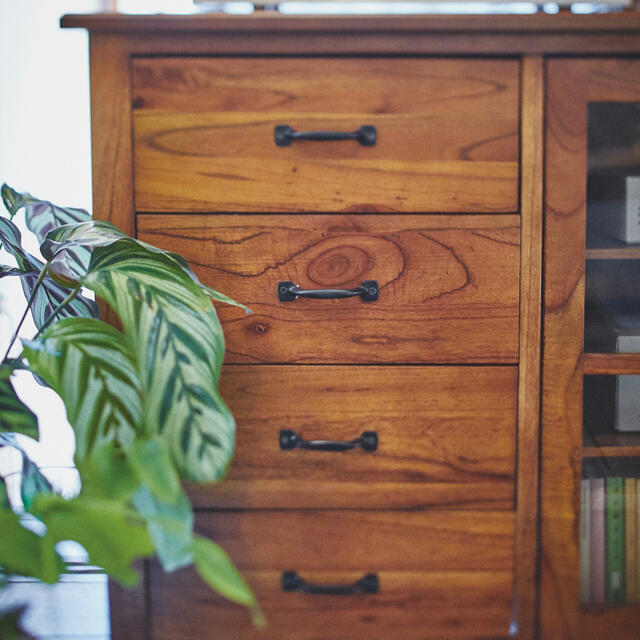 東京 【送料無料】Mindy Wood Cabinet W1200 リビング収納 tripkicks.com