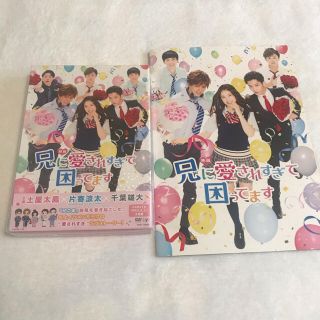 ジェネレーションズ(GENERATIONS)の映画『兄に愛されすぎて困ってます』初回限定豪華版 DVD パンフレットセット　(日本映画)