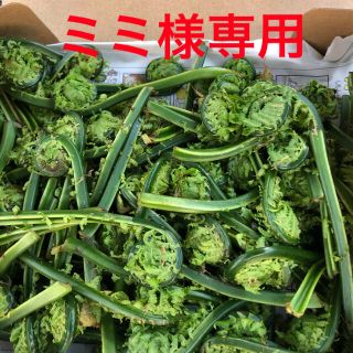 天然こごみ(野菜)