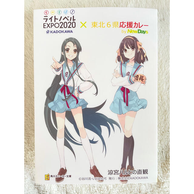 角川書店(カドカワショテン)の【限定1000セット】ライトノベルEXPO 涼宮ハルヒの直観限定パッケージ エンタメ/ホビーのアニメグッズ(その他)の商品写真