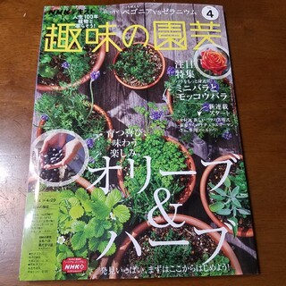 最新号! NHK 趣味の園芸 2021年 04月号(専門誌)