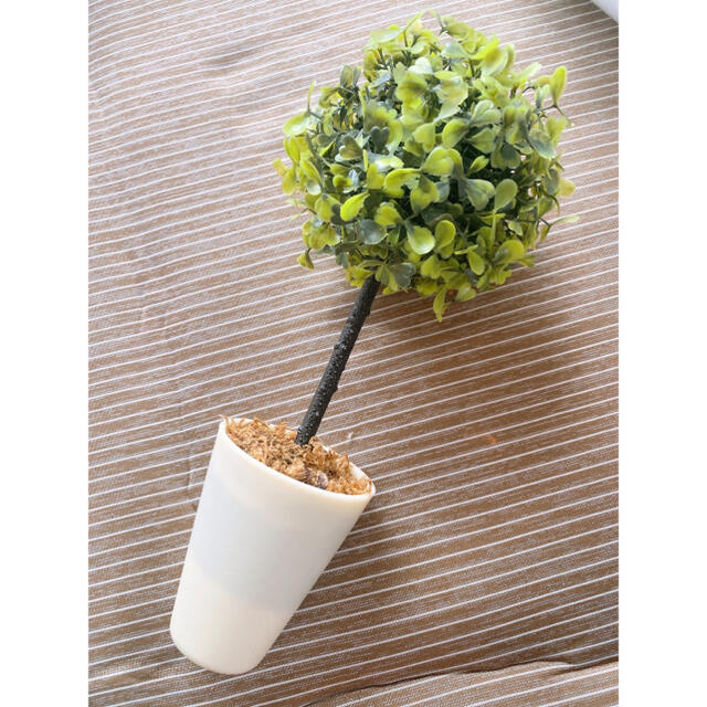 ニトリ ニトリ 観葉植物の通販 By ゆゆさんshop ニトリならラクマ ニトリ ニトリ 観葉植物の通販 By ゆゆさんshop ニトリならラクマ