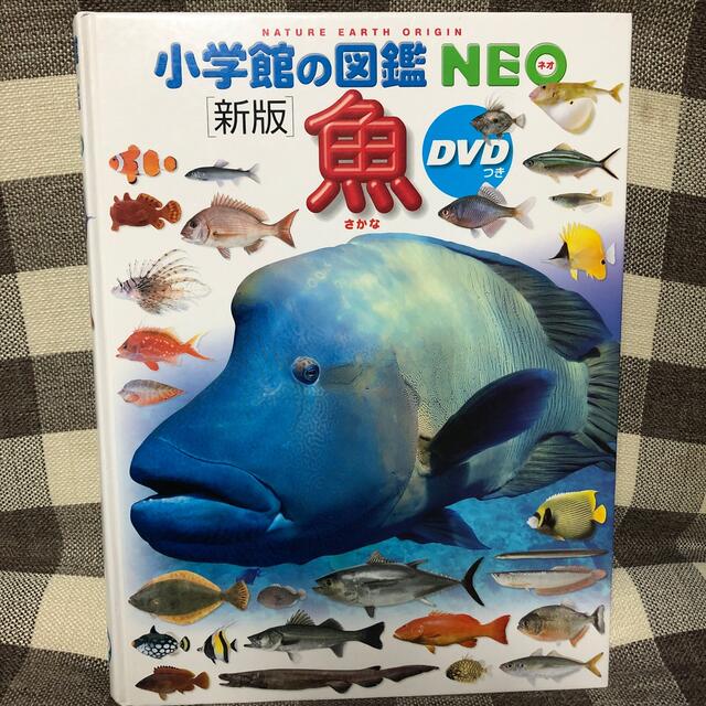 小学館の図鑑NEO 魚　DVDつき エンタメ/ホビーの本(絵本/児童書)の商品写真