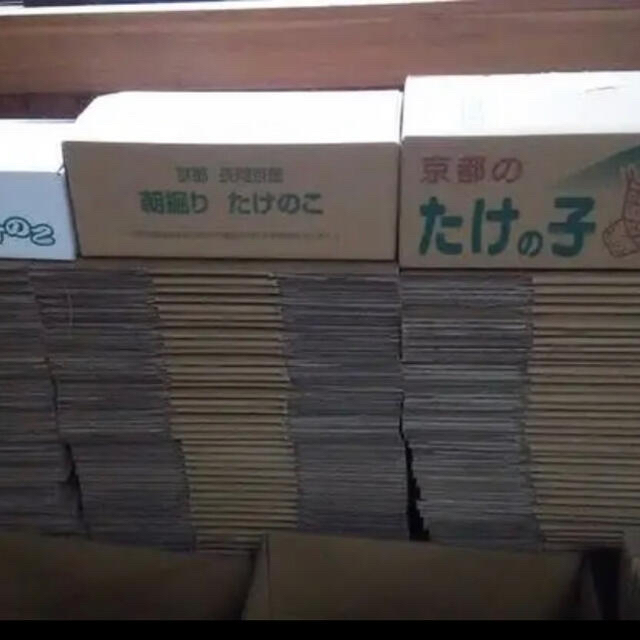 京都乙訓産　朝採り　たけのこ　2キロ弱　筍　竹の子 食品/飲料/酒の食品(野菜)の商品写真