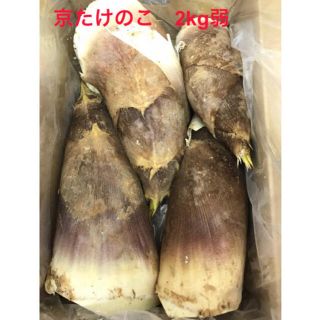 京都乙訓産　朝採り　たけのこ　2キロ弱　筍　竹の子(野菜)