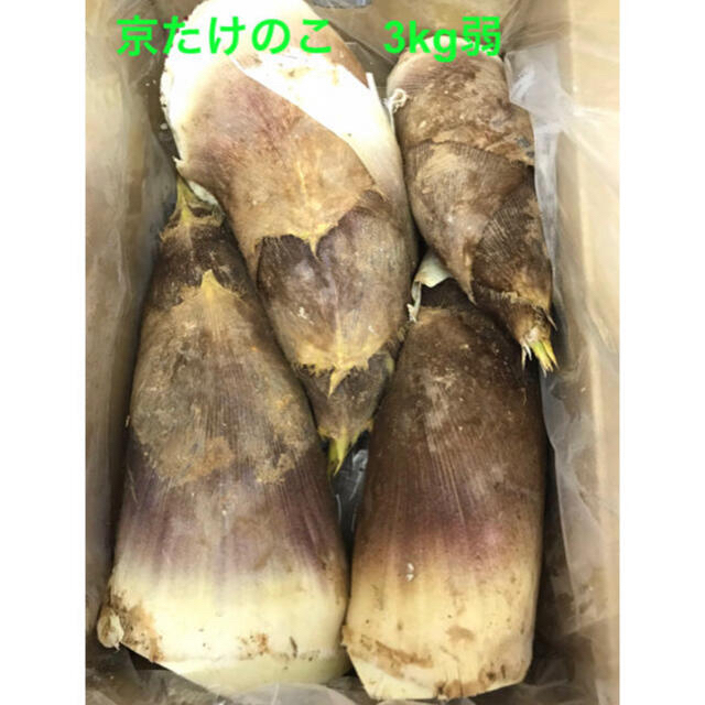 京都乙訓産　朝採り　たけのこ　3キロ弱　筍　竹の子 食品/飲料/酒の食品(野菜)の商品写真