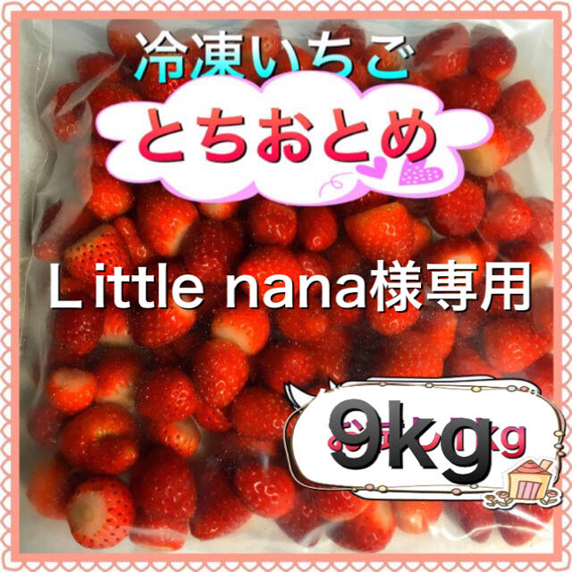 冷凍とちおとめ　9kg Ｌittle nana様専用 食品/飲料/酒の食品(フルーツ)の商品写真