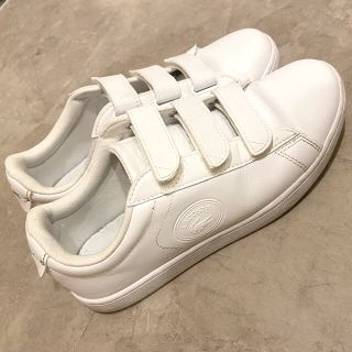 ラコステ(LACOSTE)のラコステ　スニーカー24センチ(スニーカー)