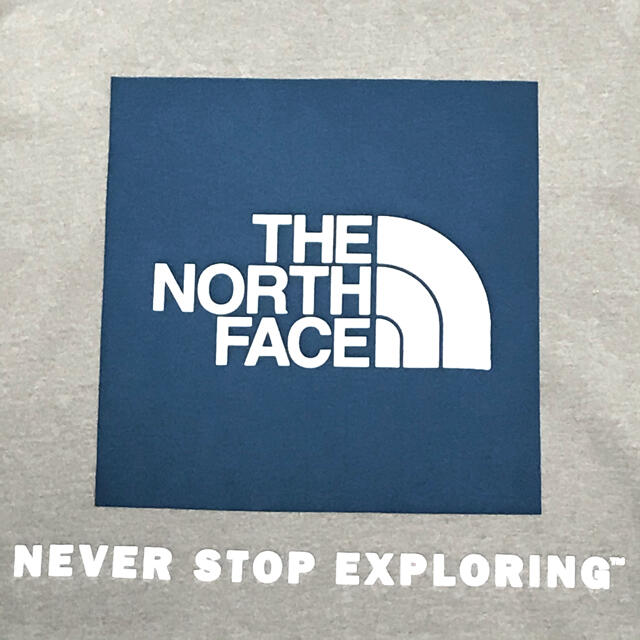 THE NORTH FACE(ザノースフェイス)の最大 ♪ 新品 ノースフェイス BOX NSE ロンT グレー 5XL メンズのトップス(Tシャツ/カットソー(七分/長袖))の商品写真