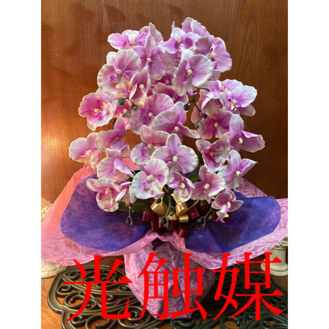 光触媒　人工観葉植物　ウォールグリーン　造花　インテリア　胡蝶蘭7647