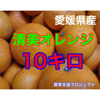 清美オレンジ10キロ (フルーツ)