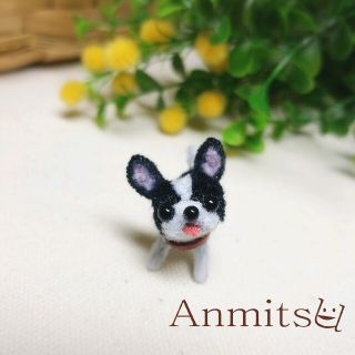 展示用　モールちびわんこ　フレンチブルドッグ